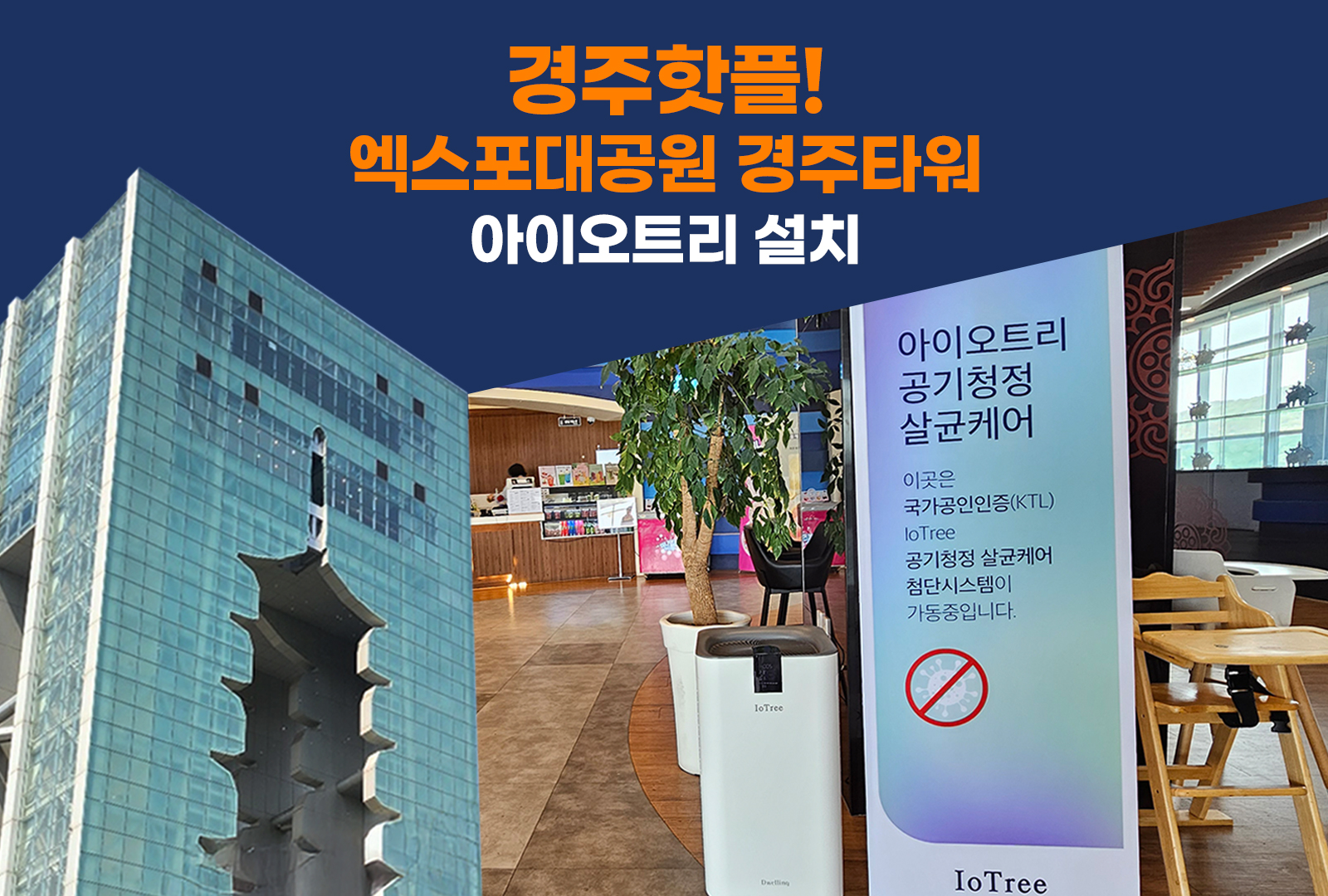 경주핫플! 엑스포대공원 경주타워 아이오트리 설치